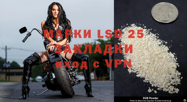 крисы Заводоуковск