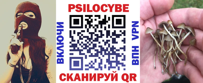 Псилоцибиновые грибы мицелий  Купить где  Княгинино 